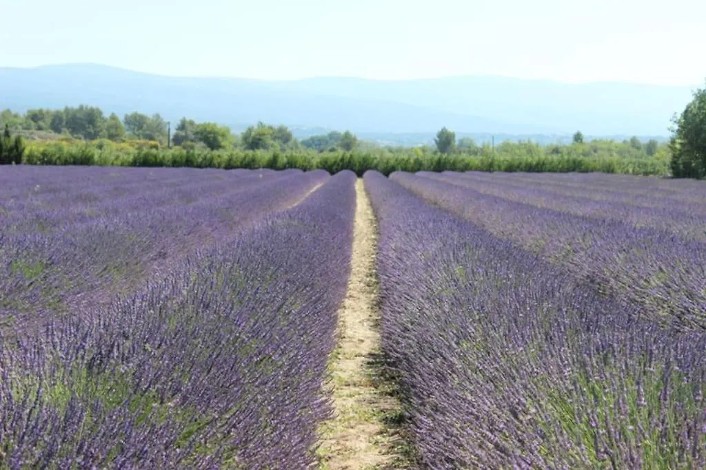 Gite Le Petit Luberon Coquelicot Coustellet Frankrijk