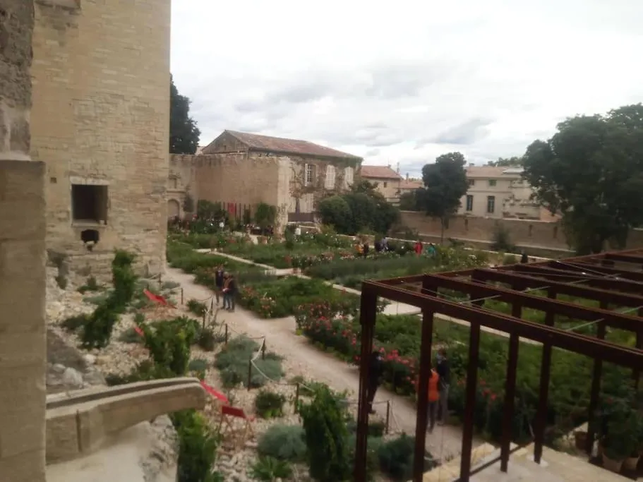 Gite Le Petit Luberon Coquelicot Coustellet Appartement