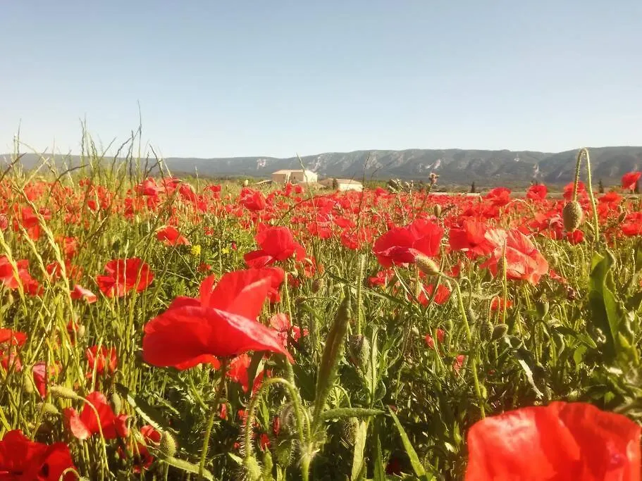 Gite Le Petit Luberon Coquelicot Coustellet Appartement
